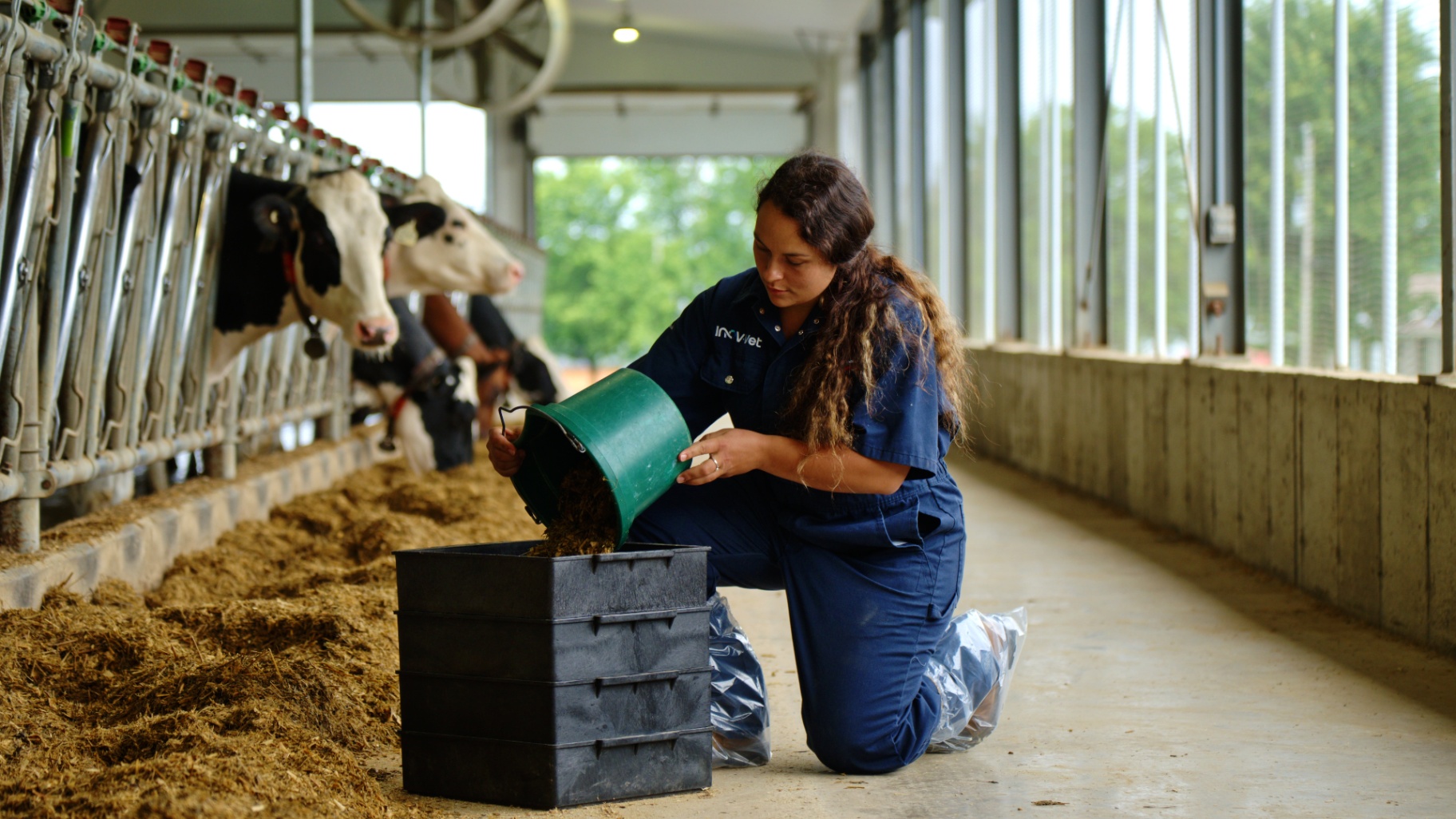 Préparation d'échantillons d'ensilage dans des contenants