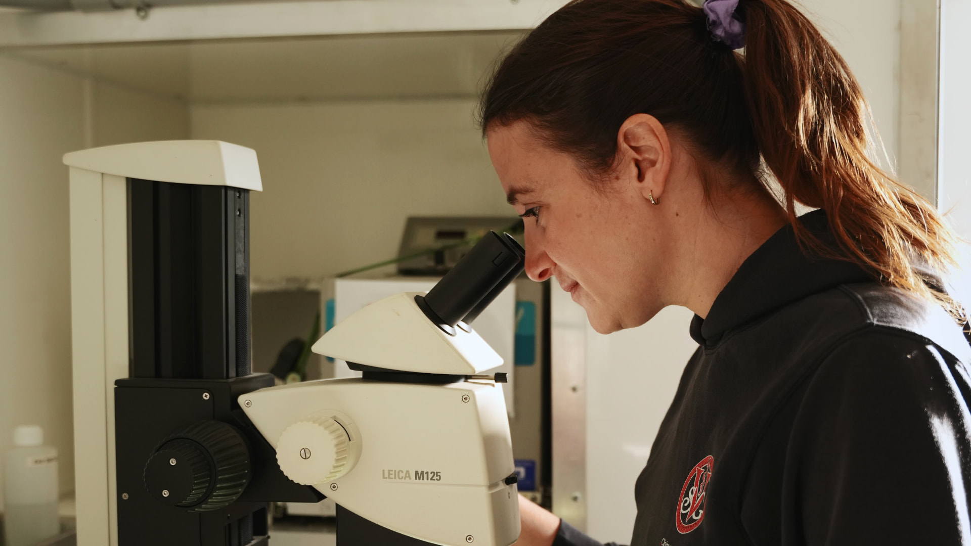 Membre de l'équipe observant au microscope au laboratoire